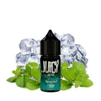 سالت نعناع جویسی 30 میلی‌لیتر JUICY SPEARMINT