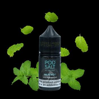 سالت نعناع پاد سالت ۳۰ میل Pod Salt Core Spearmint