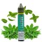 سالت نعناع نستی 30 میلی‌لیتر NASTY LIQ SPEARMINT