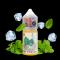 سالت نعناع یخ توکیو ۳۰ میل Tokyo Iced Mint