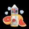سالت گریپ فروت یخ توکیو ۳۰ میل Tokyo Iced Grapefruit