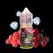 سالت گیلاس تمشک یخ توکیو ۳۰ میل Tokyo Pure Fruit Cherry Raspberry